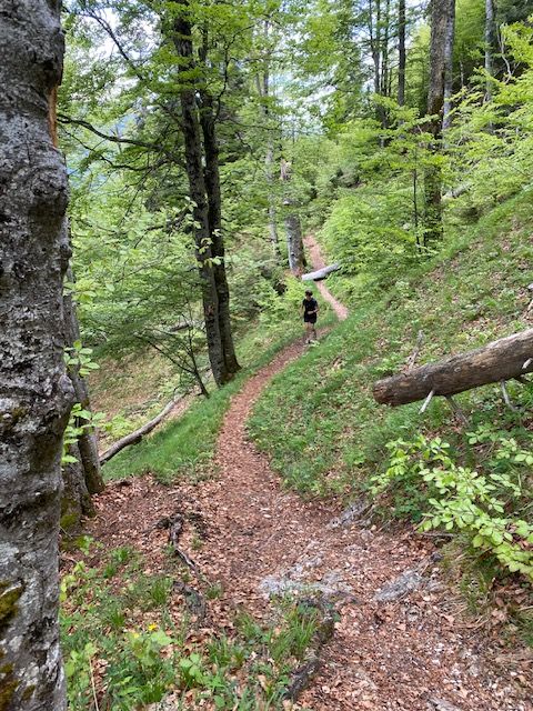 Trail-Running auf die Thaleralm