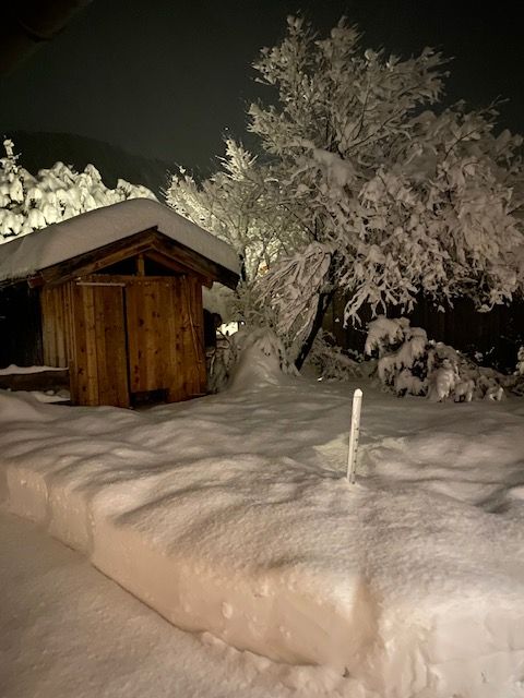 Winter bei Nacht am Uferweg